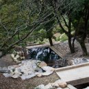 바우정원 이미지