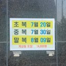 백제계삼탕 이미지