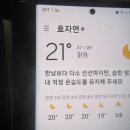 백두대간 버섯 답사및 잡버섯 약간 수확산행.87 이미지