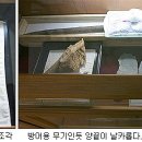 연기공소 이미지