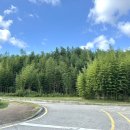 대나무공원 화장실 이미지