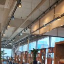 모티뷰 헤어 이미지