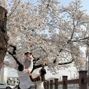 반쟁이공원 이미지