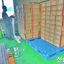 진솔원 이미지