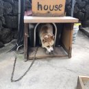 계룡길 벽돌가 이미지