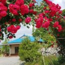 파아란펜션 이미지