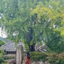 대자경로당 이미지