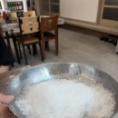 대박회센터 | 포항 오천 물회, 야장 감성에 세꼬시 물회까지 완벽! '대박회센터' 후기