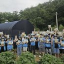 포리초등학교 이미지