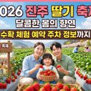 진서고등학교 | 2026 진주 딸기 축제 달콤한 봄의 향연 정보부터 수확 체험 예약 주차 정보까지 완벽 정리