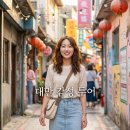 인스타투어 | 대만 택시투어 타이베이 8시간 근교 인스타 감성 코스 추천 후기