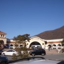 스프링폴 이미지