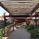 이시스 리조트 이미지