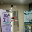 위고비 마운자로 가격 내돈내산 정상체중 예비신부의 찐 한달 후기