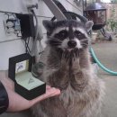 라한호텔 포항 | [W]26년 하반기 포항 라한호텔 웨딩홀 계약후기