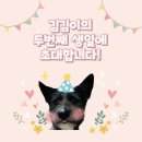 숑사탕 이미지