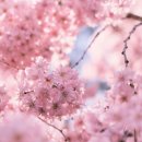 생활 & 여행 일본어 이미지