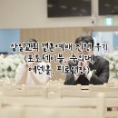 행진결혼정보 | 삼일교회 결혼예배 진행 후기(포토테이블, 축의대, 에덴홀, 피로연장)