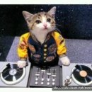 그루터기 이미지