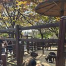 열우물공원 이미지