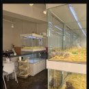 펫퍼스트24시 서울송파점 강아지고양이분양말티푸말티즈푸들 이미지