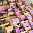 베트남 다낭 여행에서 만난 이야기 이미지