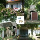 마을오리 이미지