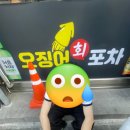 천호 횟집 오징어포차 웨이팅 해도 아깝지 않았던 인생 회 맛집 후기