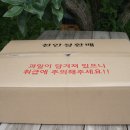성환농장 Daum카페