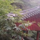 태안사계곡 | 사찰 탐방_태안사