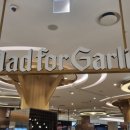 메드아크 이미지