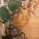 앤스테이하우스 이미지