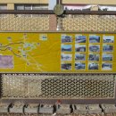 강화읍-3 이미지