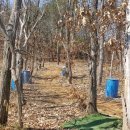 와우펜션2 이미지