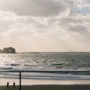 베이브리즈 이미지