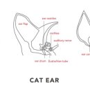 해오름 동물병원 이미지