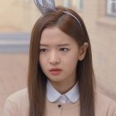 황보름별 카카오 검색결과