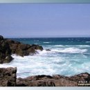 동해파도소리 이미지