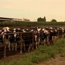 김재옥농장 이미지