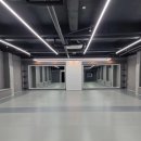 민앤마이노 유도&주짓수 이미지