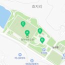 흥천체육공원 축구장 네이버블로그