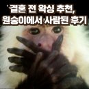 결혼전관리를 위해 방문한 상봉왁싱 벨르제이 후기