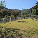 강림면303 이미지