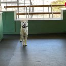 불리빌로우코리아센터 이미지