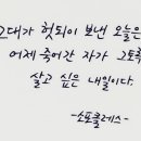 어라운드마켓 이미지
