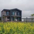 가시머뭄 이미지