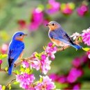 오케이컨설팅 이미지