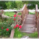 언덕농장 이미지