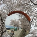적당한 거리 이미지
