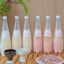 대통령;대박마트 | 복순도가 손막걸리 맛있는 막걸리 추천 전통주 선물 택배